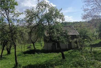 Teren de 5265 mp, în Teișani - 3