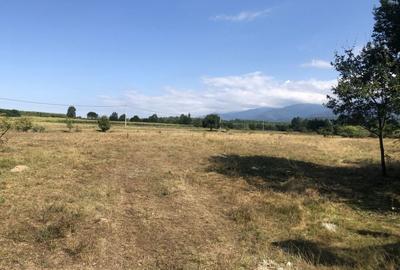 Spațiu comercial, în Porumbacu de Sus - 3
