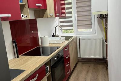 Apartament cu 2 camere semidecomandat în Câlnic - 4