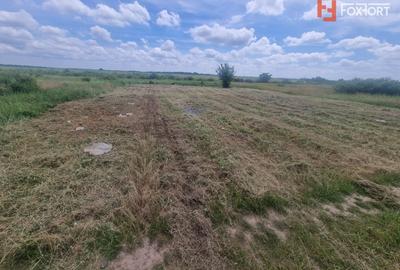 Teren Construcții intravilan de 743 mp, în Moșnița Veche - 3