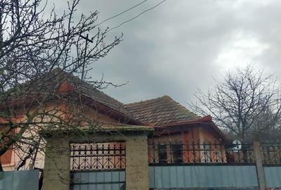 Casă cu 3 camere cu Teren 2672 Mp în Ineu - 3