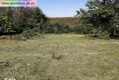 Teren de 1700 mp, în Păulești - 1