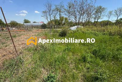Teren Construcții intravilan de 1663 mp, în Cornetu - 6
