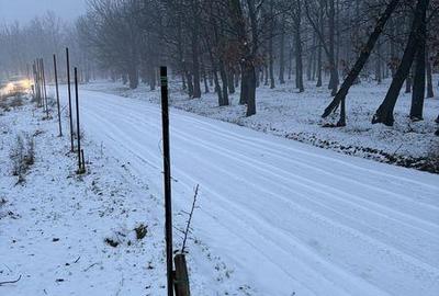 Teren de 1000 mp, în Bucovăț - 7