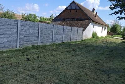 Spațiu comercial, în Parța - 1