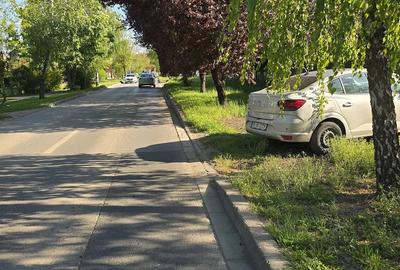 Teren de 5000 mp, în Braytim - 8