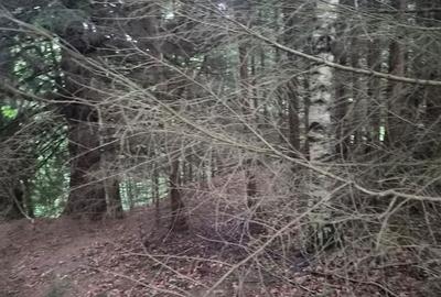 Teren de 300 mp, în Brădățel - 6