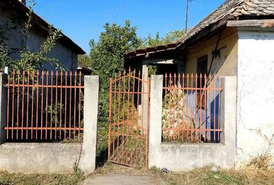 Teren de 900 mp, în Cetate - 4