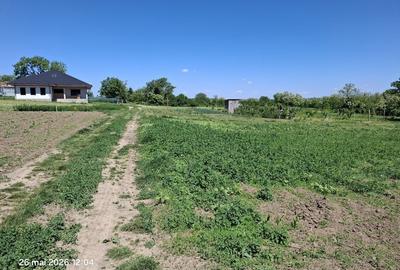 Teren de 1500 mp, în Trușești - 4