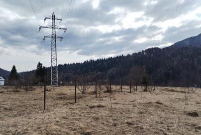 Teren de 841 mp, în Cumpătu - 1