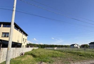 Teren Construcții intravilan de 1200 mp, în Brănești - 2