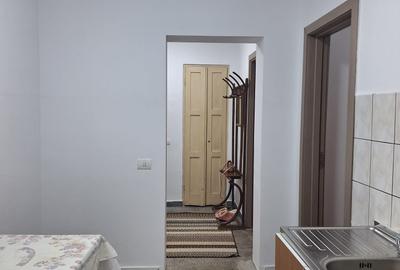 Apartament cu 2 camere decomandat în Delfinariu - 11