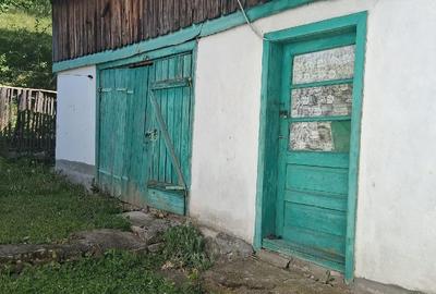 Casă cu Teren 4000 Mp în Central - 8