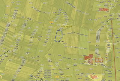 Teren agricol extravilan de 32500 mp, în 3 Insule - 1