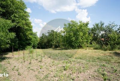 Casă cu 5 camere cu Teren 1500 Mp în Feldioara - 8