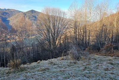 Teren de 10000 mp, în Poiana - 2