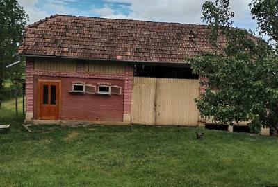 Casă cu 2 camere cu Teren 6000 Mp în Lechincioara - 4