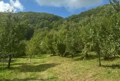 Teren de 2000 mp, în Malu cu Flori