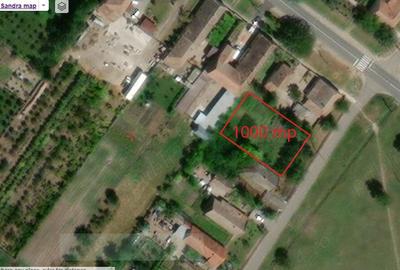 Teren de 10000 mp, în Șandra - 2