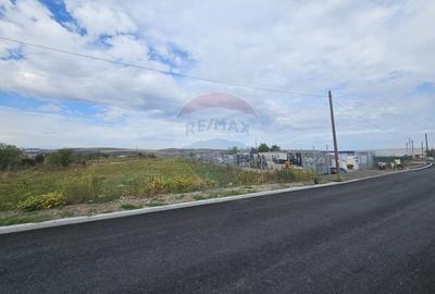 Teren Construcții intravilan de 11264 mp, în Sânnicoară - 7