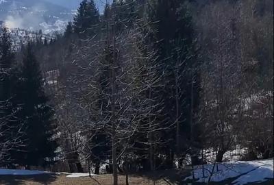 Teren de 3900 mp, în Sud