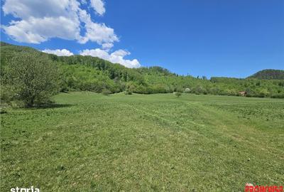 Teren de 5370 mp, în Oituz - 1
