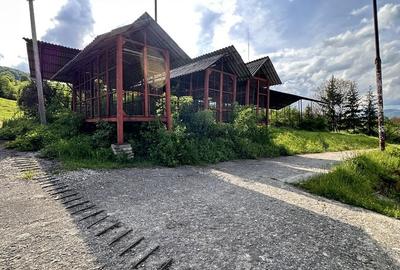 Teren de 115367 mp, în Runcu - 2