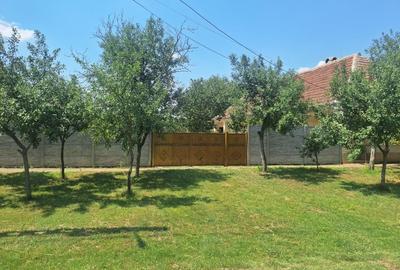 Casă individuală cu 5 camere cu Teren 5095 Mp în Călacea - 1