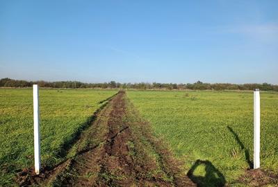 Teren agricol extravilan de 500 mp, în Tuzla - 7