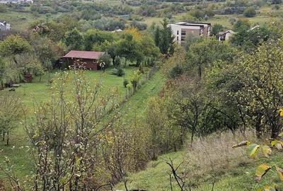 Teren Construcții intravilan de 2175 mp, în Borhanci - 12