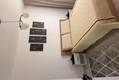 Apartament cu 2 camere semidecomandat în Chișoda - 1