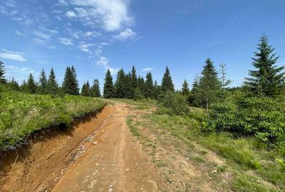 Teren de 1000 mp, în Beliș - 1