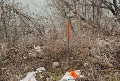 Teren de 1500 mp, în Svinița - 2