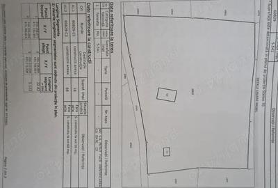 Teren de 5541 mp, în Runcu Mare - 2