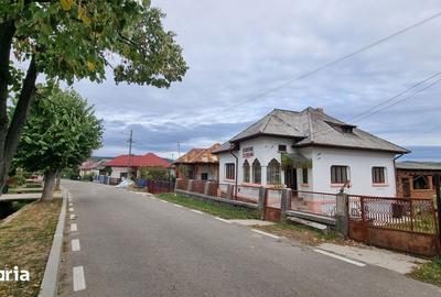 Casă cu 5 camere cu Teren 1500 Mp în Domnești - 1