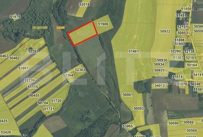 Teren agricol extravilan de 17400 mp, în Mociu