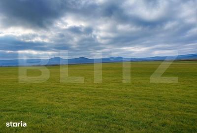 Teren de 12000 mp, în Central
