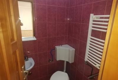 Casă individuală cu 9 camere cu Canalizare în Blașcovici - 15