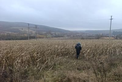 Teren de 4000 mp, în Schitu Duca - 1