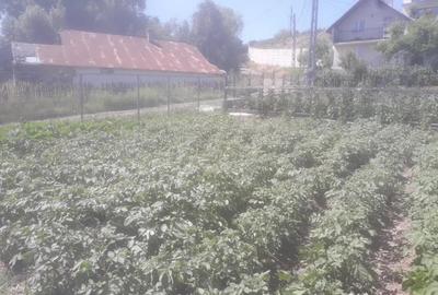 Casă cu 2 camere cu Teren 40085 Mp în Bosanci - 7