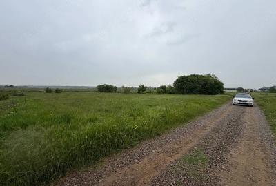 Teren de 2000 mp, în Grădiștea - 2