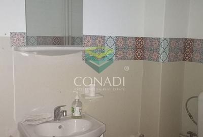 Apartament cu 3 camere decomandat în Dristor - 16