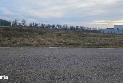 Teren de 1776 mp, în Albota
