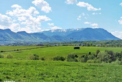 Spațiu comercial, în Bran - 12