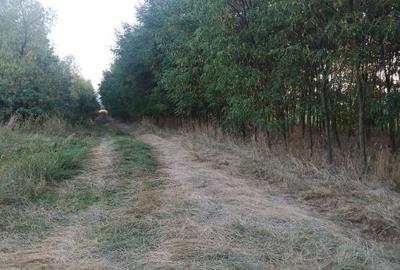 Teren de 2000 mp, în Horodnic