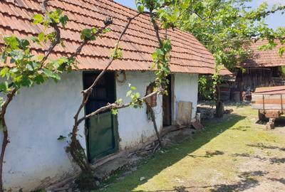 Casă cu 3 camere cu Teren 2254 Mp în Fădimac