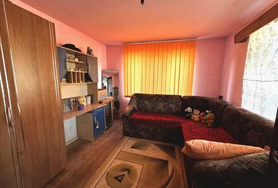 Casă individuală cu 3 camere cu Teren 1320 Mp în Ighiu - 1