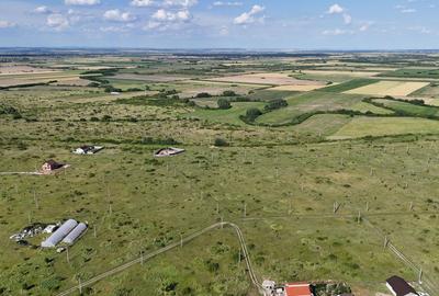 Teren Construcții intravilan de 646 mp, în Moșnița Nouă - 23
