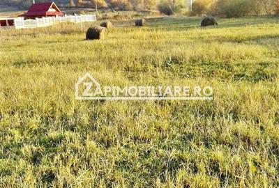 Teren Construcții intravilan de 780 mp, în Livezeni - 9