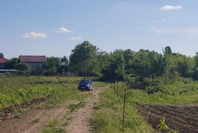 Teren Construcții intravilan de 977 mp, în Ciolpani - 4